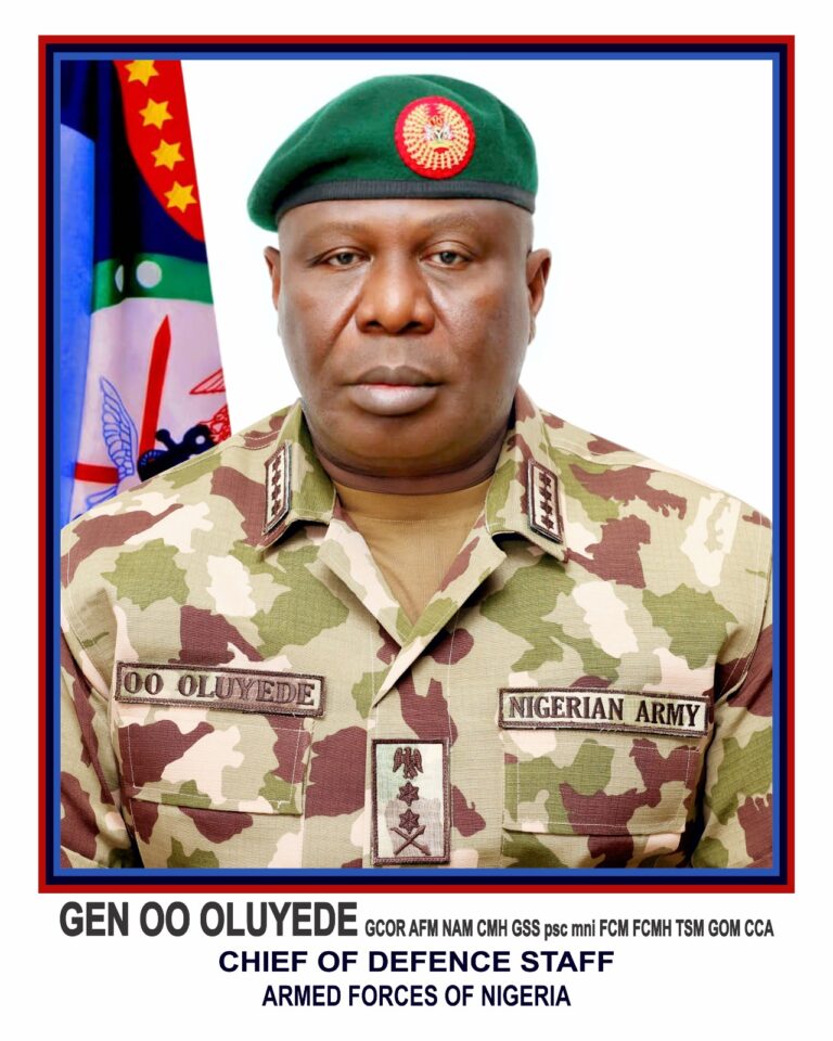 Armed Forces of Nigeria Neutralises Over 217 Terrorists, Arrests 333 in October Nationwide Operations