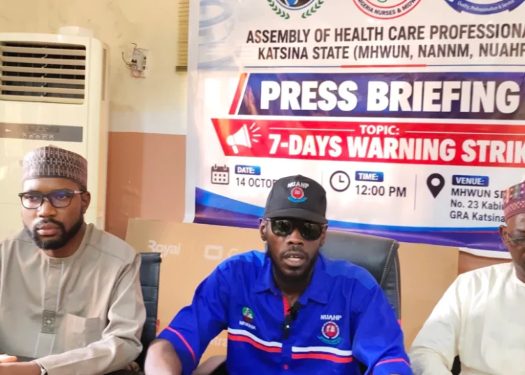 Katsina Health Professionals Begin Seven-Day Warning Strike