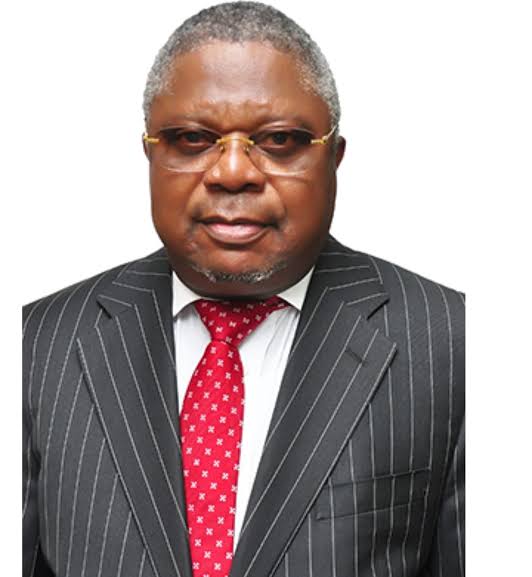 Tinubu Appoints Ex-Enugu Lawmaker Christian Nwamba to NIPC Board