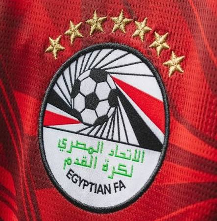 Egypt petitions FIFA over officiating in World Cup defeat to Argentina