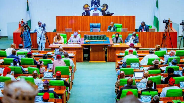 Reps Urge FG to Intensify Crackdown on Fake Food, Adulterated Drinks