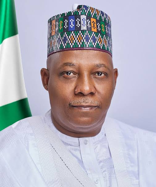 APC confirms Kashim Shettima as Tinubu's 2027 presidential running mate