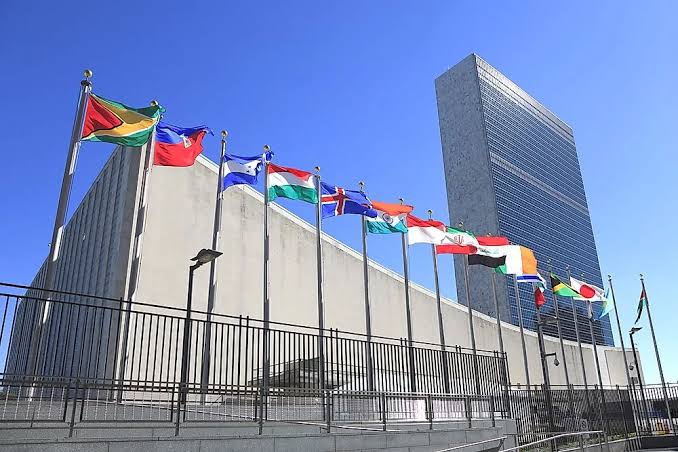 UN Warns of Rising Threat From Fake Medicines in Central Africa